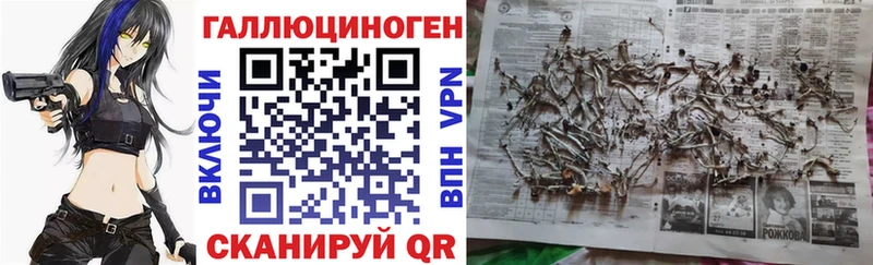 магазин    KRAKEN маркетплейс  Псилоцибиновые грибы мухоморы  Котельники 