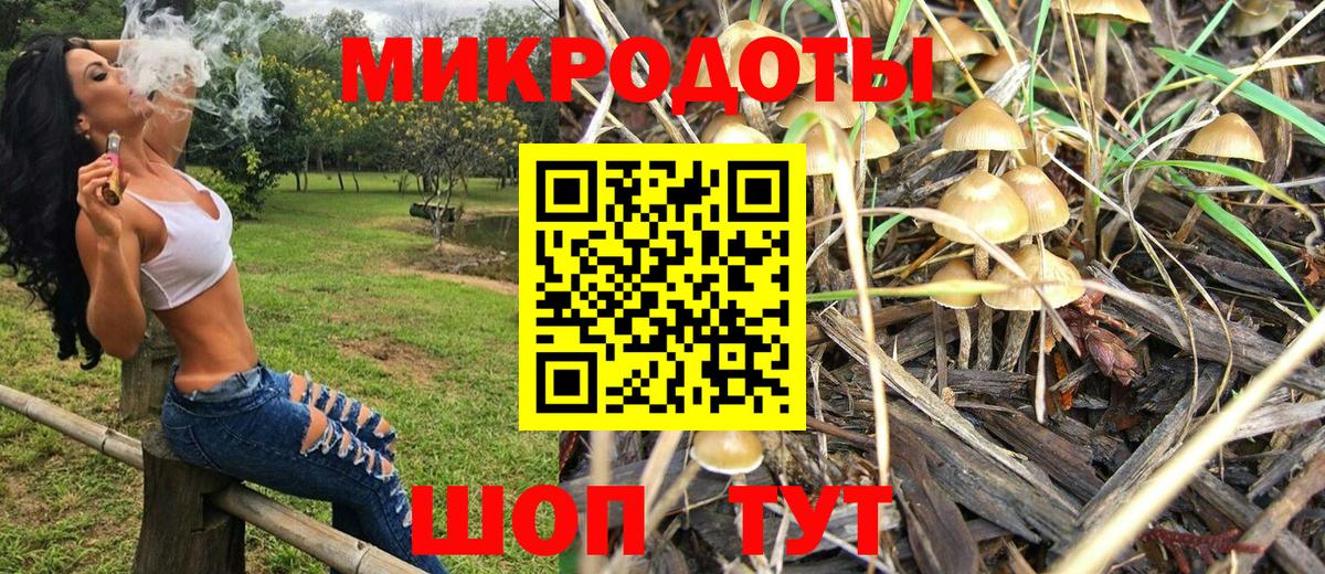 Псилоцибиновые грибы Cubensis Котельники