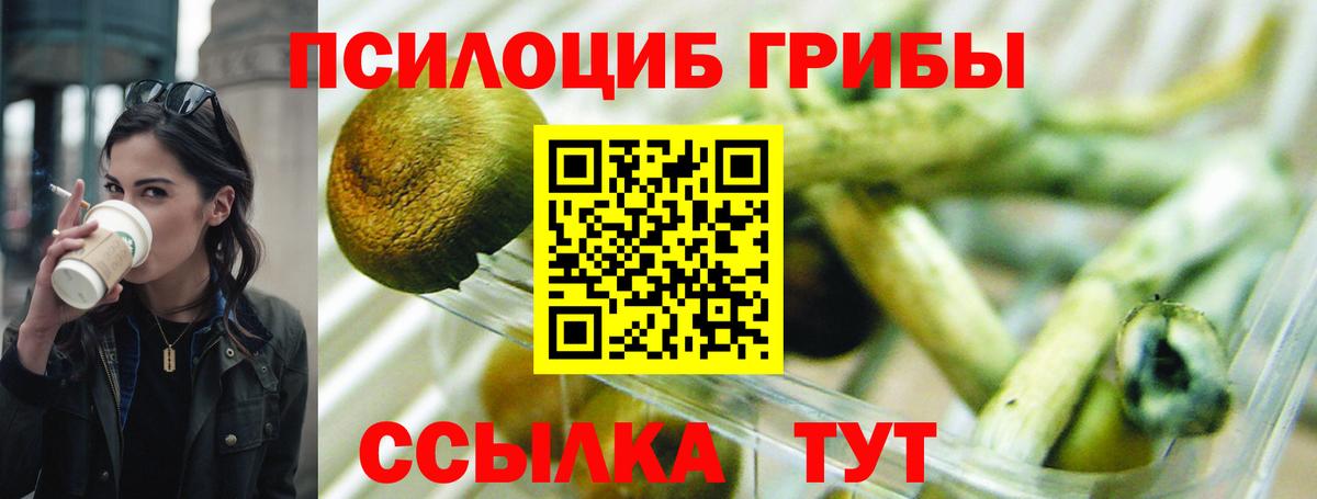 Псилоцибиновые грибы Cubensis  Вход с VPN  Котельники 
